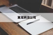 翼龙网贷公司，数字化金融的领航者，翼龙网贷公司，数字化金融的先驱领航者