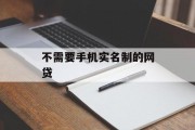 探索无需手机实名制的网贷服务