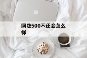 网贷500不还，后果与影响，网贷500不还，后果与影响分析