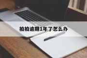 拍拍逾期1年了怎么办_拍拍逾期半个月了为什么帮我减少利息了