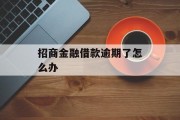 招商金融借款逾期了怎么办_招商金融逾期一个月会什么样