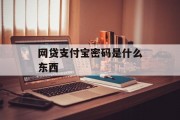 网贷与支付宝密码，理解与安全使用，网贷与支付宝密码，理解与安全使用之道