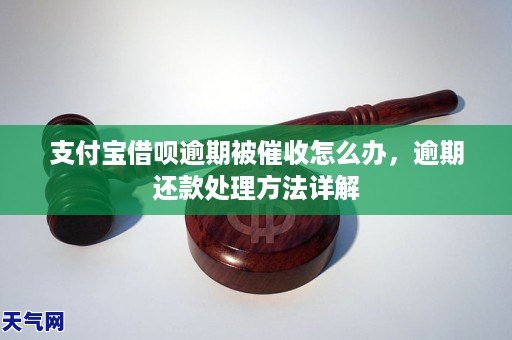 支付宝逾期了怎么办(支付宝逾期了怎么办图片)