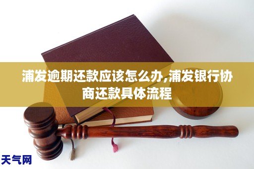 金融商城逾期了怎么办(如果在金融上逾期了怎么还钱)