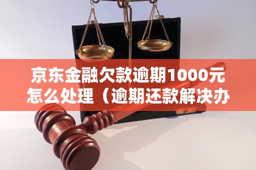 京东金融逾期了利息怎么办(京东金融逾期后再还上是不是以后都不可以借款了)