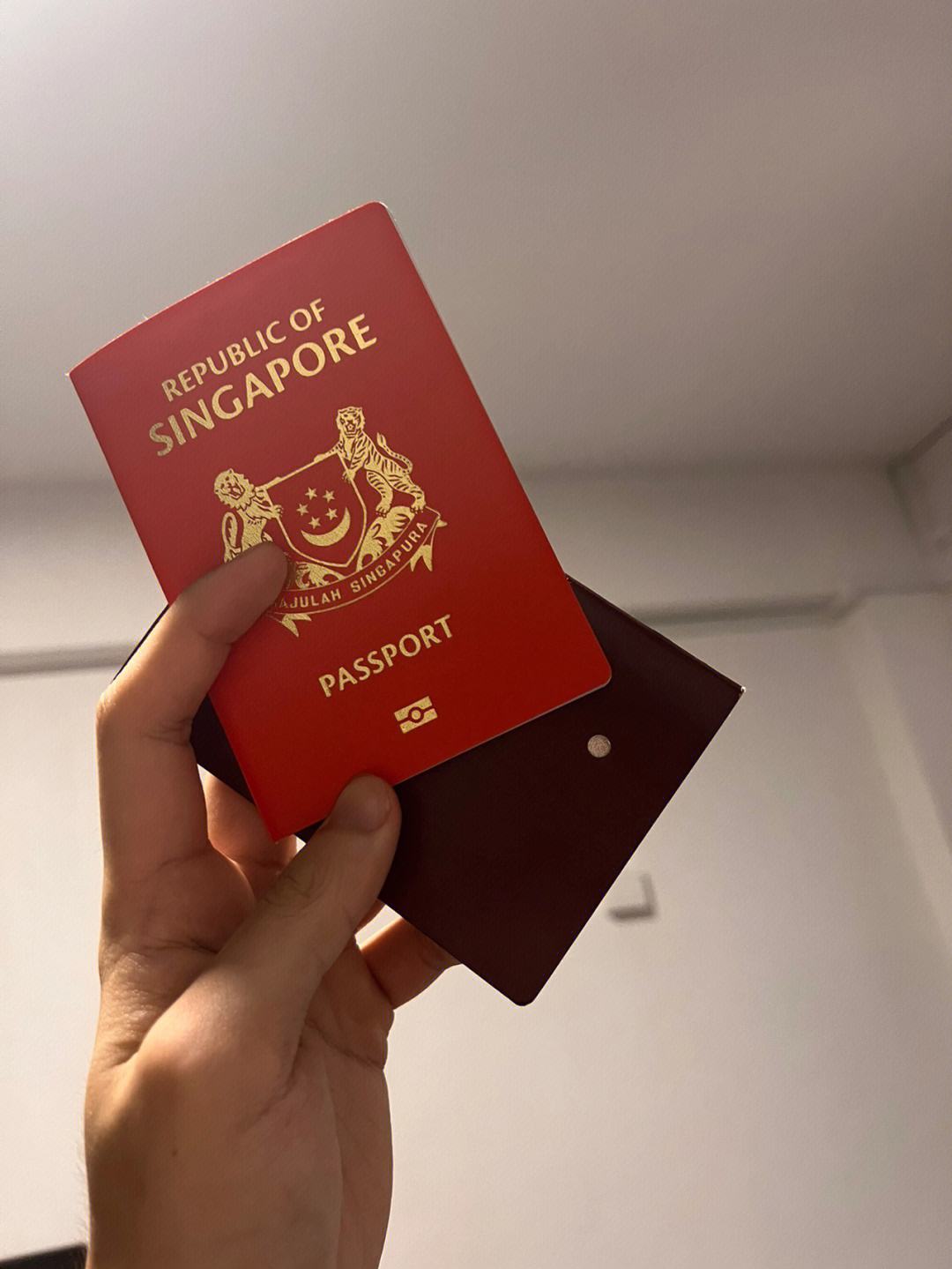 泰国护照逾期了怎么办(在泰国护照逾期了怎么办)