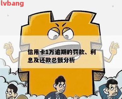 利息逾期了该怎么办(利息逾期了该怎么办理)