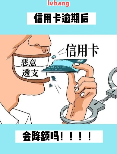 逾期被集体诉讼了怎么办(逾期被集体诉讼了怎么办呢)