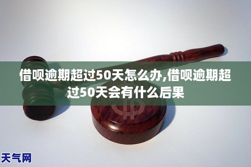 逾期了10几天怎么办(逾期了10几天怎么办呢)