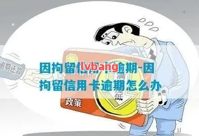 信用卡不小心逾期了怎么办(信用卡不小心逾期了怎么办可以去哪里提问)