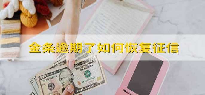 微信金条逾期了怎么办啊(微信金条逾期了怎么办啊还能用吗)